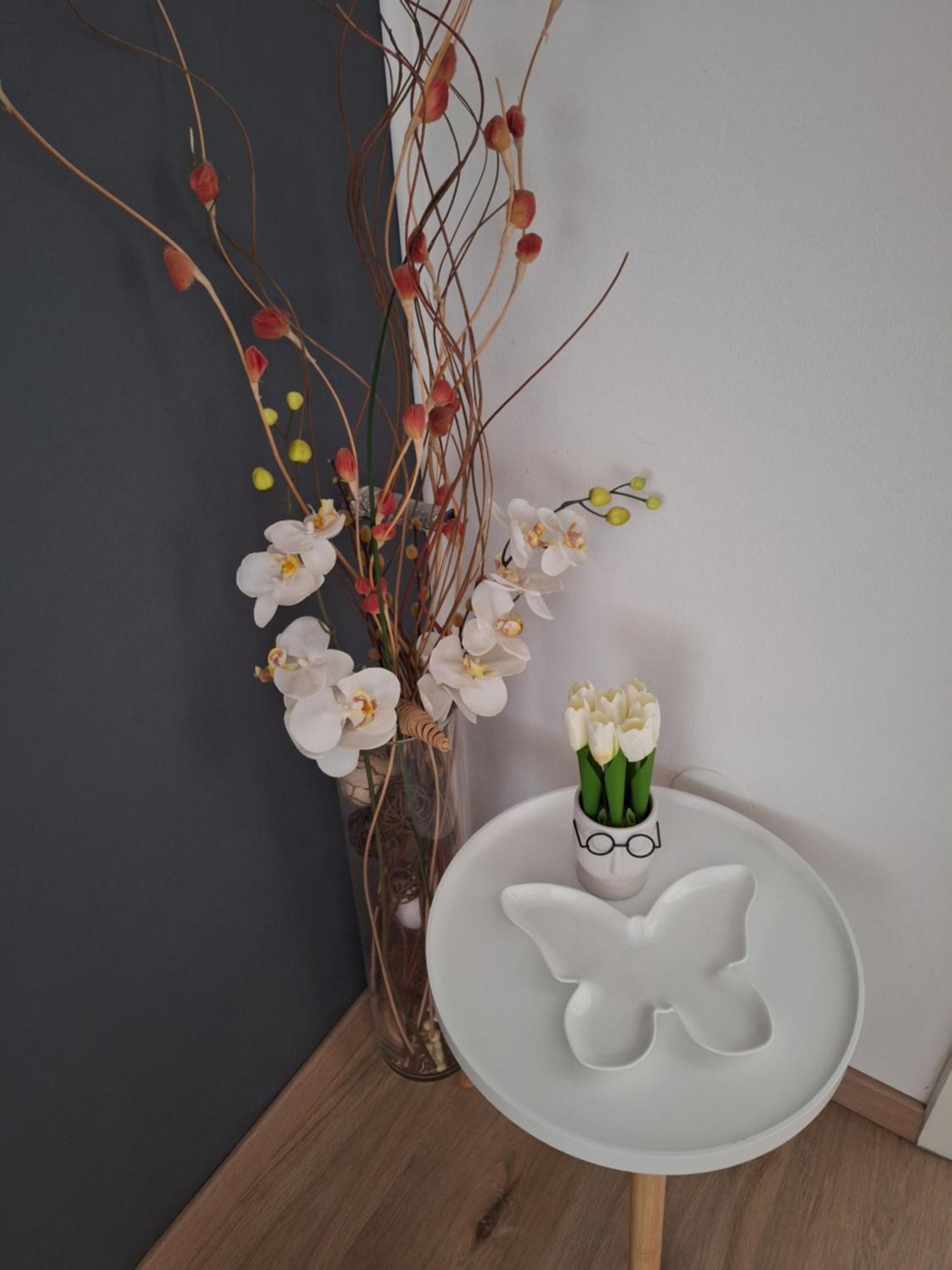 רוביני Apartments And Rooms Lorena 236 מראה חיצוני תמונה